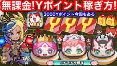 無課金 Yポイント 稼ぎ方！やりくり やり方 今回も3000Yポイントある ぷにぷに 9周年 おはじき イベント お助け ミスコン 朱夏 伏李ユウ 効率の【妖怪ウォッチぷにぷに】元気ドリンク 入手方法