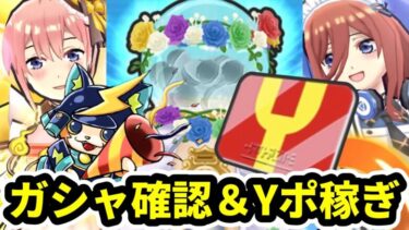 ぷにぷに「ガシャ確認」Yポイント稼ぎ&雑談生配信！！【五等分の花嫁コラボ・妖怪ウォッチぷにぷに】