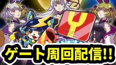 ぷにぷに「ゲート周回」Yポイント稼ぎ&雑談生配信！！【妖怪ウォッチぷにぷに】