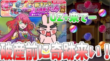 ぷにぷに『破産前に頼むから雲雀朱音来てくれー！新キャラ狙って危険な初日ガシャいくぞー！』Yo-kai Watch