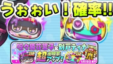 ぷにぷに ZZZランク2キャラ超アップガシャきたけど確率がぁぁぁ！　妖怪ウォッチぷにぷに　レイ太