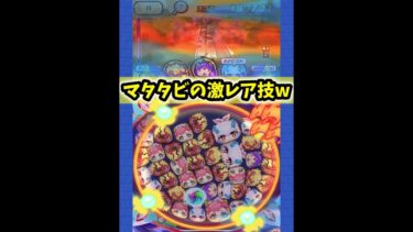 【ぷにぷに】マタタビの激レア必殺技ww #ぷにぷに#shorts