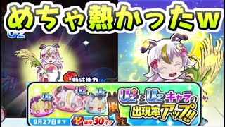 ぷにぷに Uz＋確率アップに30％オフガシャはこれでお得に撤退だー！　妖怪ウォッチぷにぷに　レイ太