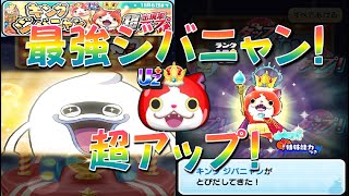 【キングジバニャン出現率超アップガシャガシャ回す!】　ぷにぷに10周年記念イベント ぷにぷにの秘密だニャン　妖怪ウォッチぷにぷに Yo-kai Watch