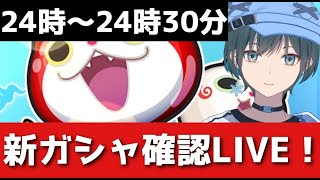「ぷにぷに」ラスチャン確認＆定期雑談LIVE！【Vtuber】