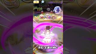 【ぷにぷに】zz以上の土蜘蛛×4使ってみた！