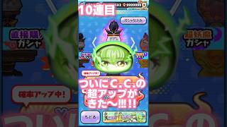 Ｃ.Ｃ.超アップ来たので出るまでガシャ！！果たして神引きすることができるのか、、、