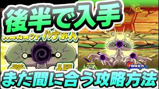 ぷにぷに イベント後半戦でもまだ間に合うハナホ人入手までの攻略方法！　妖怪ウォッチぷにぷに　レイ太