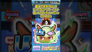 「ゲートイベント終盤!!」最後の未所持キャラUz サマバケ バニーミント狙ってラストチャンスガシャ引いてみた！#shorts #ぷにぷに #妖怪ウォッチぷにぷに