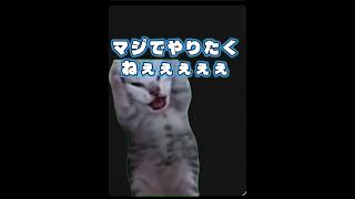 誰だよあやとり様1凸考えたやつ()
