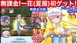無課金 39万ダメ超え 一花 夏服 ダメージ99999  三玖 大特効 火力 レベル10まで ゲンキドリンク 何個必要？お助け パワー【妖怪ウォッチぷにぷに】五等分の花嫁 中野一花 HP 中野三玖