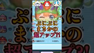 【四葉】超アップの順番が今年もバラバラ確定!#妖怪ウォッチ#ぷにぷに#shorts