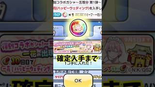 ぷにぷに 一花オーブがどうしても欲しくて復刻ガシャ天井まで回しちゃうやーつ！　妖怪ウォッチぷにぷに　レイ太　#shorts
