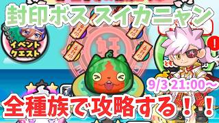 【ぷにぷに】五等分の花嫁 封印スイカニャン全種類で無特攻攻略配信！！#ぷにぷに#妖怪ウォッチぷにぷに