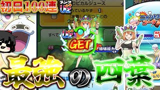 【ゆっくり実況】無課金で四葉を最強にしてみた。【妖怪ウォッチぷにぷに/ぷにぷに五等分の花嫁】
