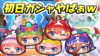 ぷにぷに 初日ガシャがヤバすぎるごとよめコラボ水着ガシャを回していくー！　妖怪ウォッチぷにぷに　レイ太