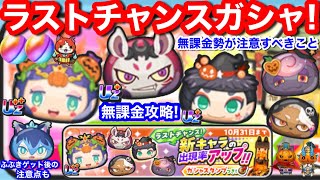 無課金 ラストチャンス ガシャ 注意点 ジャッキーランタン パンドラ ウィッチ 八百比丘尼 ヴァンパイア 難陀竜王 せいさく【妖怪ウォッチぷにぷに】次回 ぷにぷに 11周年 イベント Yポイント 大切