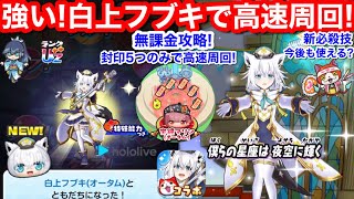 強い！白上フブキ 無課金 初ゲット 封印5つ のみ 宝鐘マリン 倒し方 裏マップ ぷにぷに 最新 ホロライブ お助け イベント【妖怪ウォッチぷにぷに】新必殺技 強さ 火力 高速周回 スキル2 どっち？