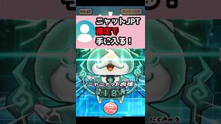 【天井あり!】ニャット確定ガシャww #Shorts #ぷにぷに